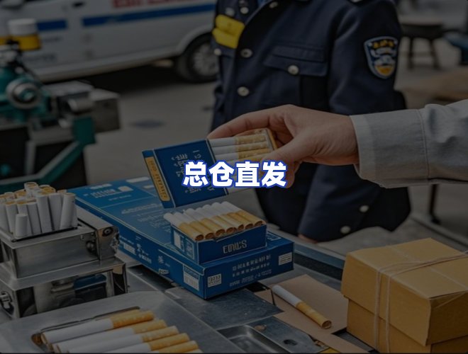 专业团队